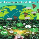 Carbon Footprint