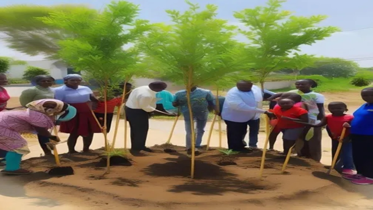 EXPLAINER: environmental and economic advantages of planting trees