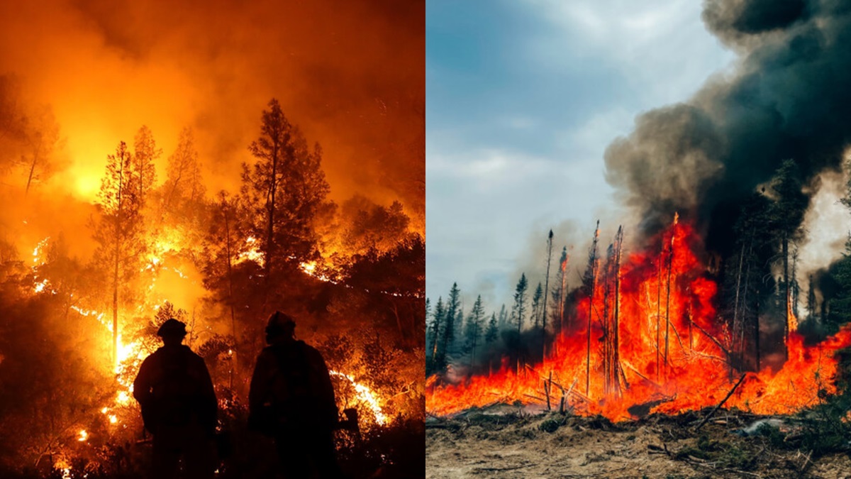 How climate change ignites wildfires