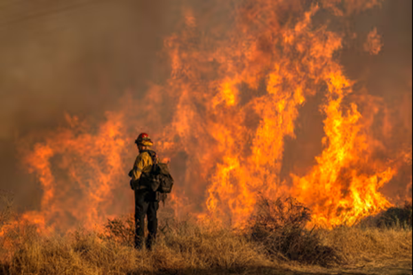 LA wildfires